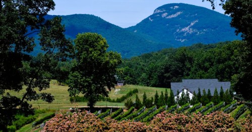 Views of a vineyard surrounded by lush greenery and pretty gardens, tucked inside a charming mountain town in Georgia.