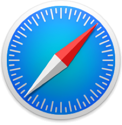 Safari Icon