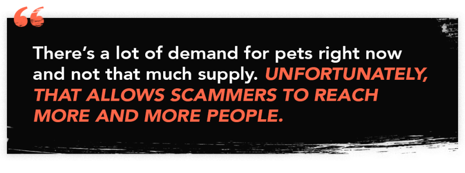 Quote card for Episode 81