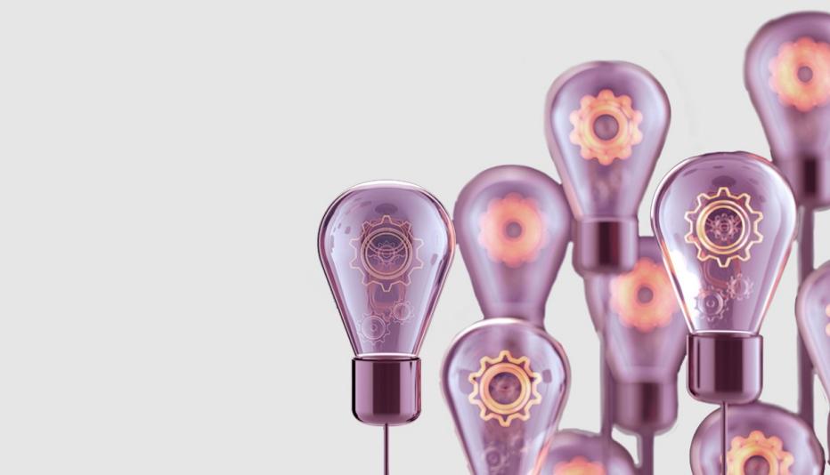 International Experts