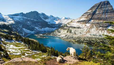Panorámica del Glacier National Park