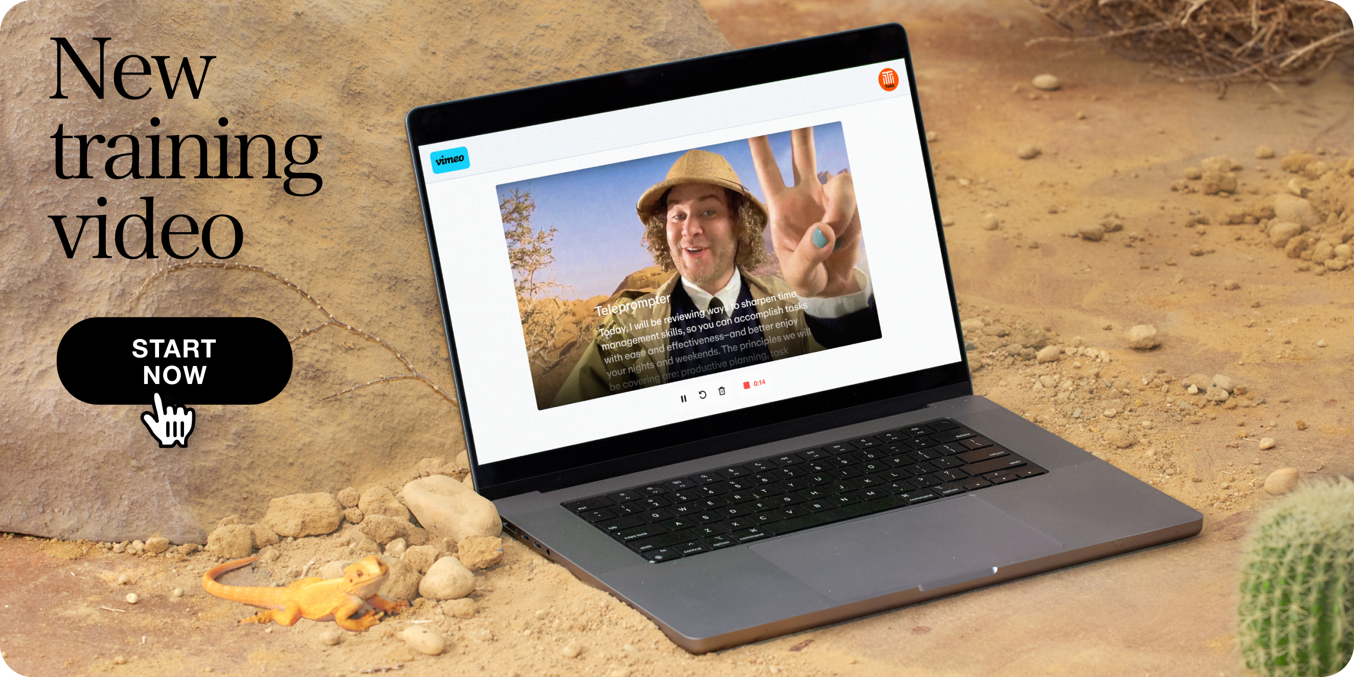 Learning and development