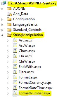 CS Syntax String Manipulation FormatNumber