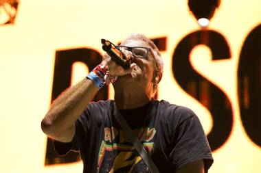 This year’s festival was all about re-establishing its place and showing it was alive and well, something the Descendents embodied best.