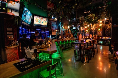 From the rich imagination of Branden Powers, Pachi-Pachi invokes the spirit of Tokyo nightlife.