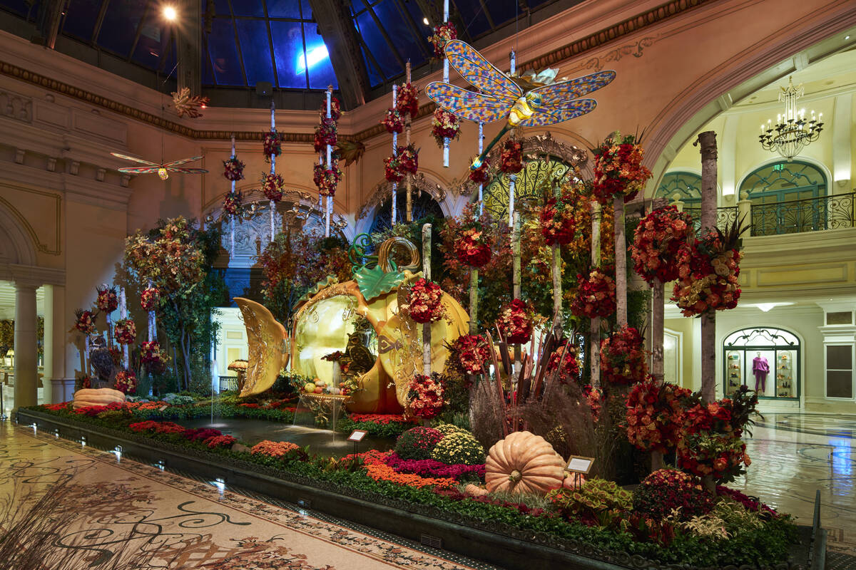 "Autumn Majesty: A Glamorous Harvest" is on display through Nov. 8 at The Bellagio Conservatory ...
