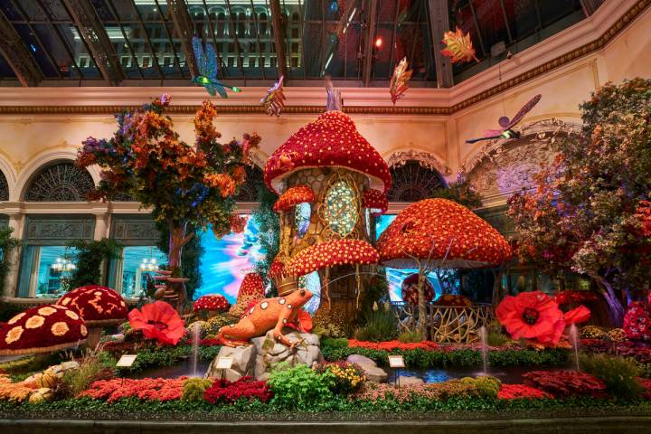 "Autumn Majesty: A Glamorous Harvest" is on display through Nov. 8 at The Bellagio Conservatory ...