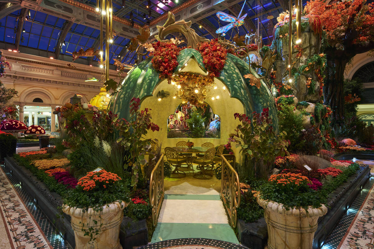 "Autumn Majesty: A Glamorous Harvest" is on display through Nov. 8 at The Bellagio Conservatory ...