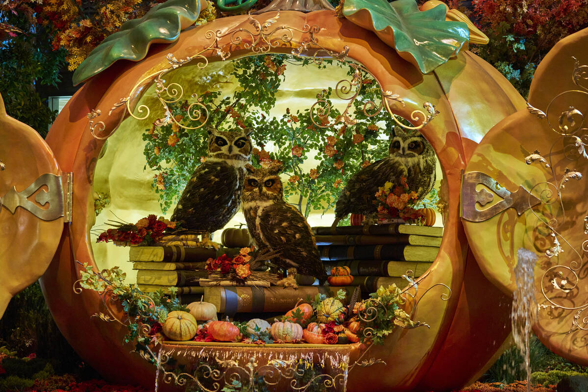 "Autumn Majesty: A Glamorous Harvest" is on display through Nov. 8 at The Bellagio Conservatory ...