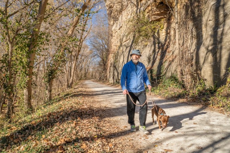 senior man is walking with a pitbull dog on Katy Trail near Rocheport, Missouri, late November forest scenery