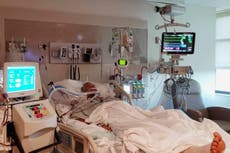 Advierten en EEUU sobre aumento de infecciones por bacteria carnívora en aguas costeras