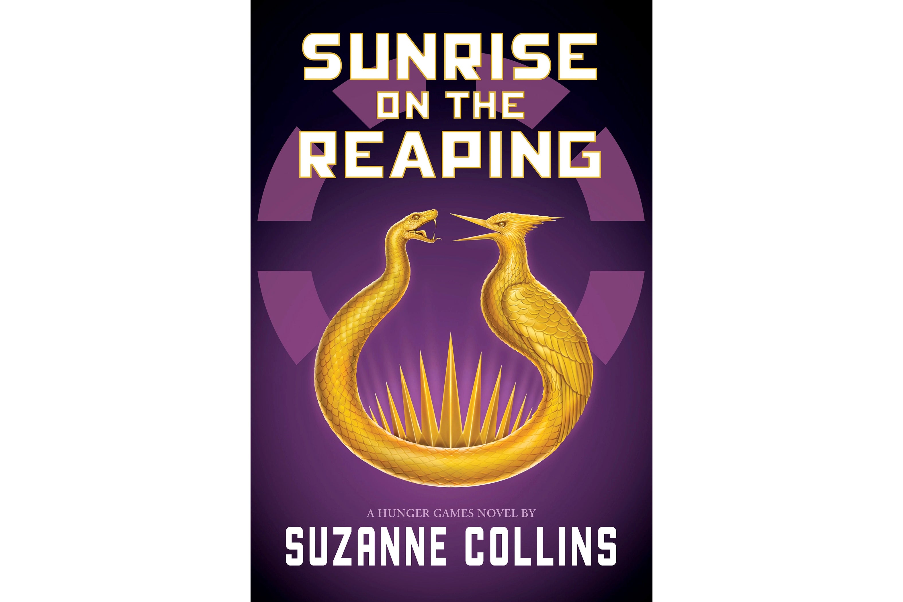 Books-Hunger Games V