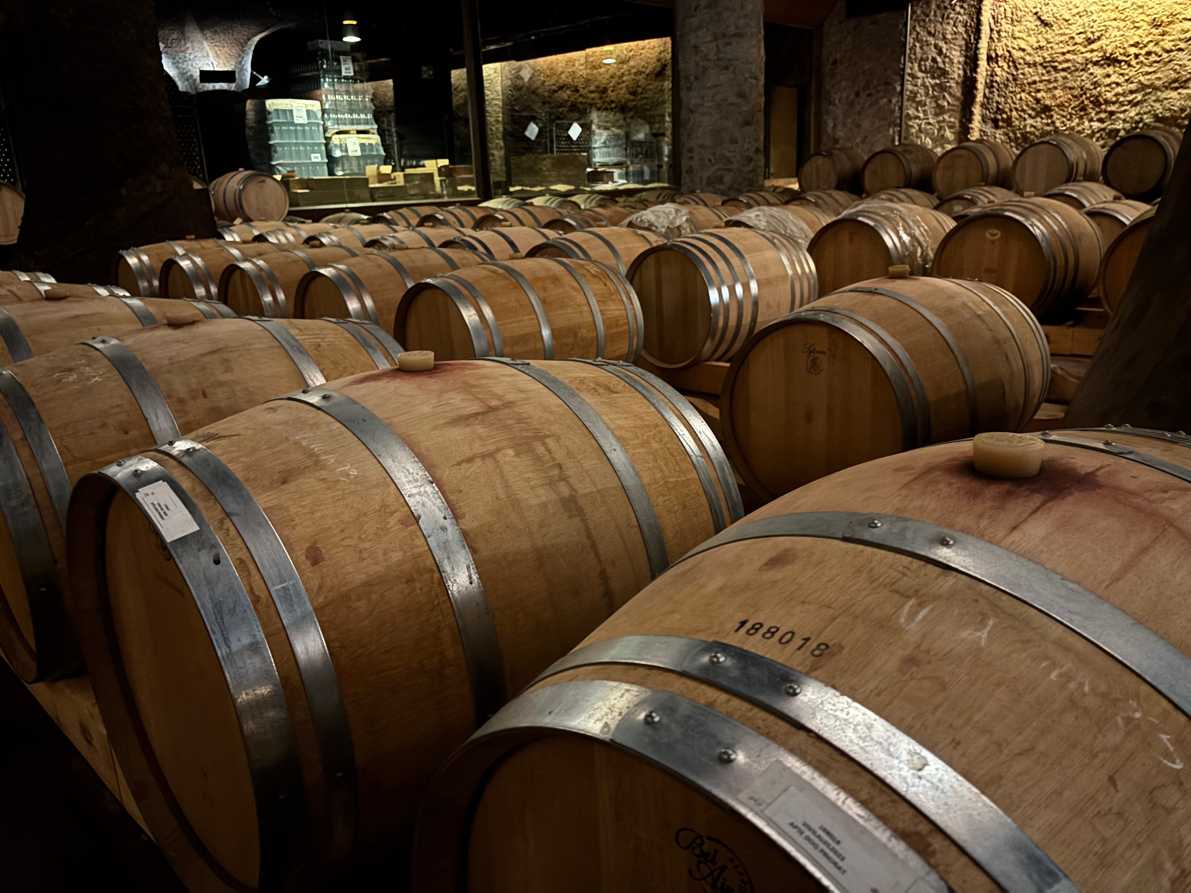 The barrel room at the Perinet Winery in the Priorat region of Spain