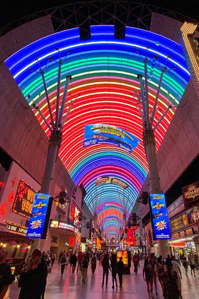 Everything You Need to Know About the Viva Vision Canopy Upgrade 22 Canopy 11