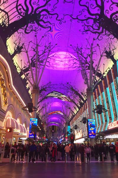 Everything You Need to Know About the Viva Vision Canopy Upgrade 18 Canopy Halloween 2019