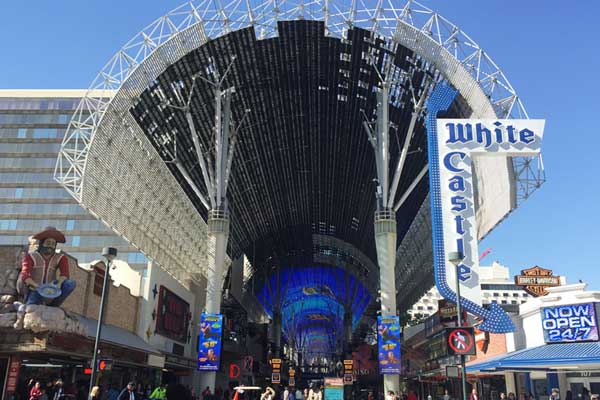 Everything You Need to Know About the Viva Vision Canopy Upgrade 19 Canopy Renovation 12