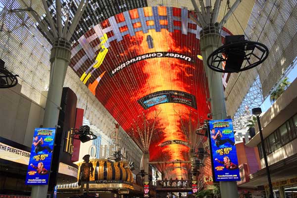 Everything You Need to Know About the Viva Vision Canopy Upgrade 17 Viva Vision 101