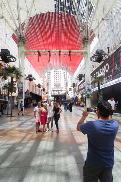 Everything You Need to Know About the Viva Vision Canopy Upgrade 10 Viva Vision Section One