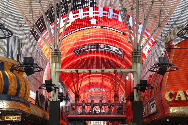 Everything You Need to Know About the Viva Vision Canopy Upgrade 15 Viva Vision Section5