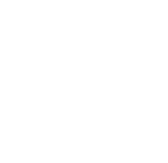 Stay connected with Wish of a Lifetime icon