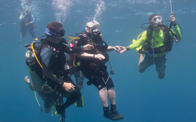 Scuba divers in the ocean