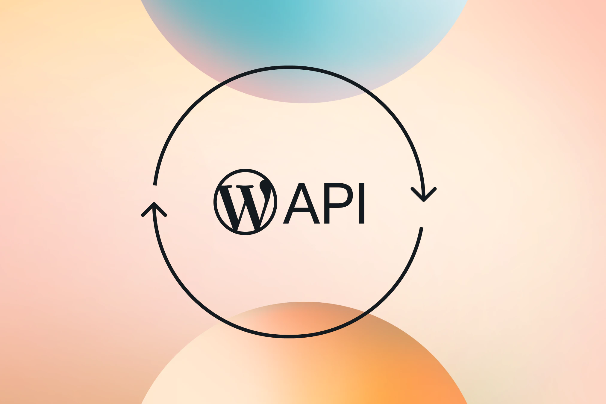 WordPress API