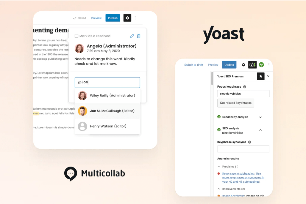 Yoast Plugin, VIP Partner
