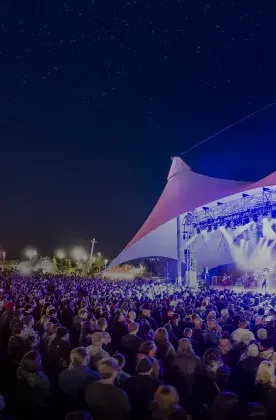 photo of crowd at concert at nightime