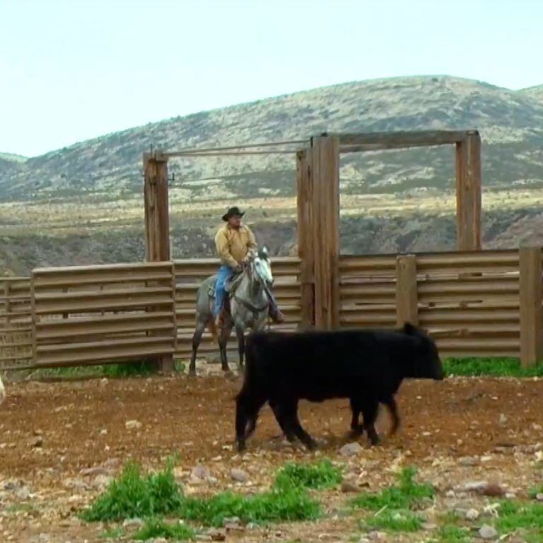 rancher riding a horse