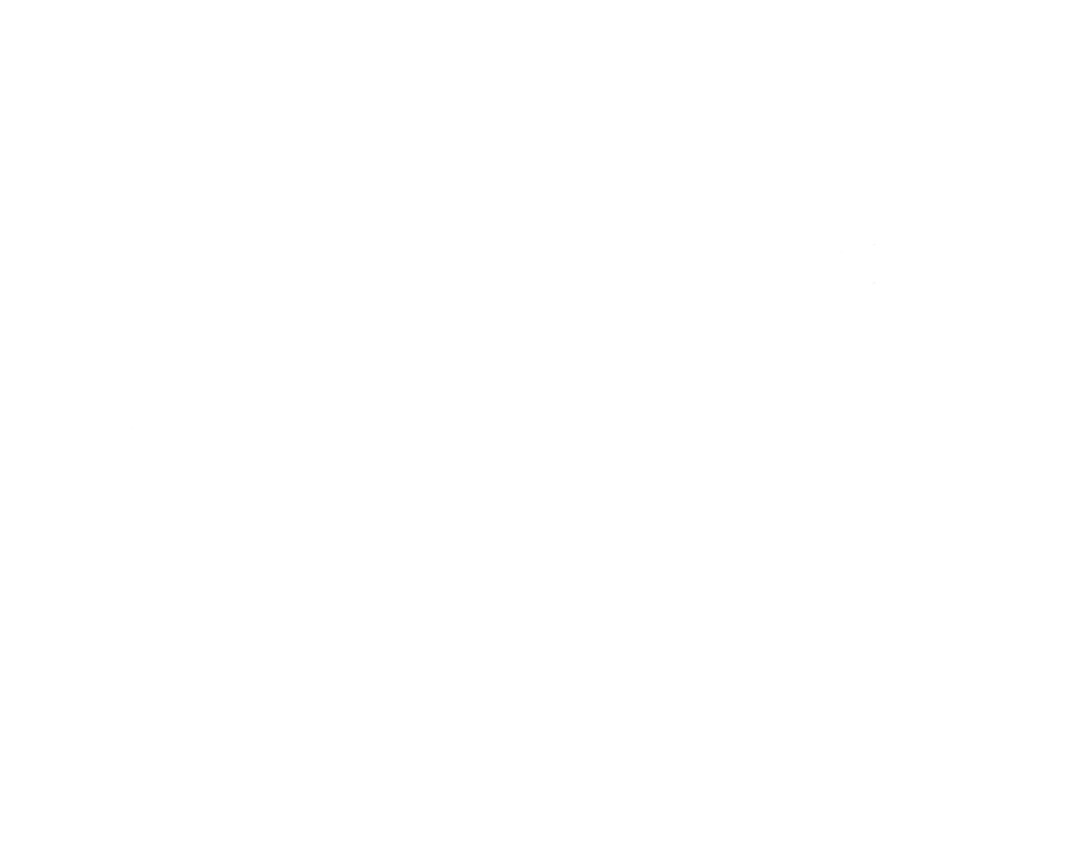 Project BBQ Logo