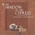 In the Shadow of the Cypress
