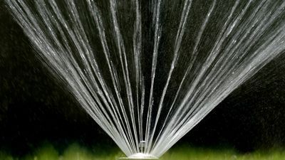 Image for story: Follow Summer Watering Restrictions