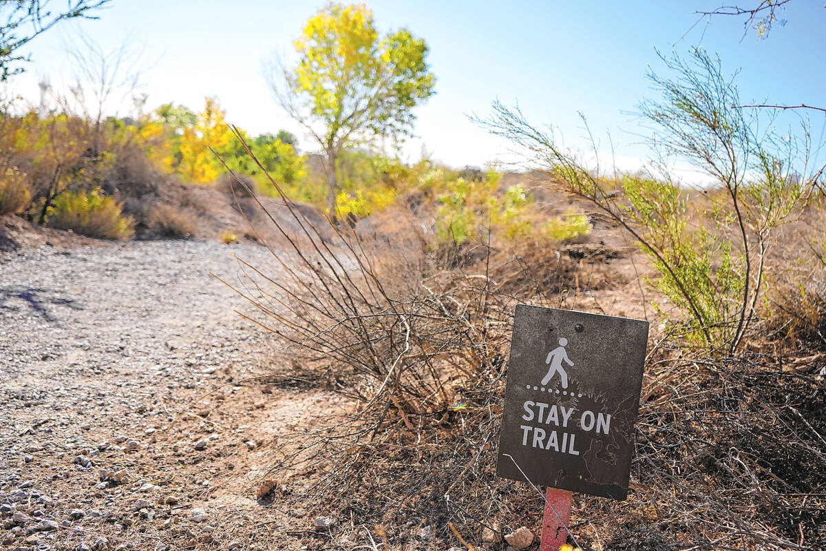 There are two spots at the Springs Preserve to get on and off the gravel Cienega Trail, which l ...