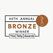 AARP Smart Driver Online Course curriculum earns Bronze at The Telly Awards.
