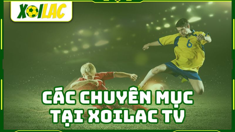 Xôi Lạc cung cấp cực kì đa dạng chuyên mục Xôi Lạc cung cấp cực kì đa dạng chuyên mục