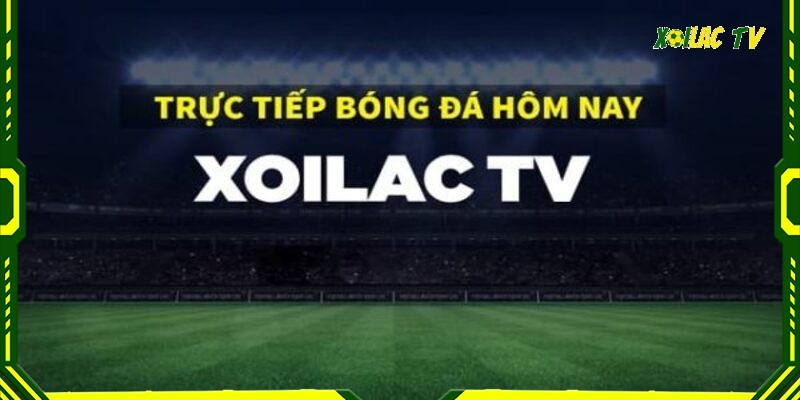 chính sách biên tập và chỉnh sửa Đảm bảo sự tương tác, phản hồi chất lượng