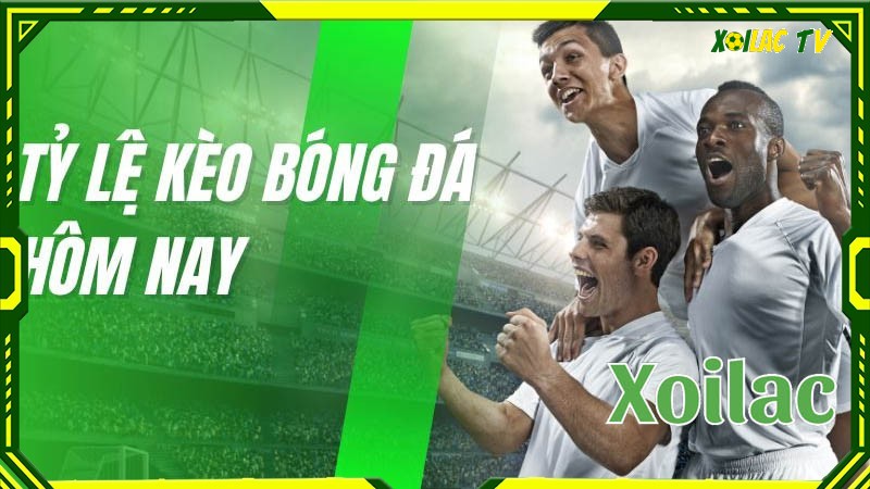 Tổng quan về chuyên mục tỷ lệ kèo nhà cái 5 tại Xoilac Tổng quan về chuyên mục tỷ lệ kèo nhà cái 5 tại Xoilac